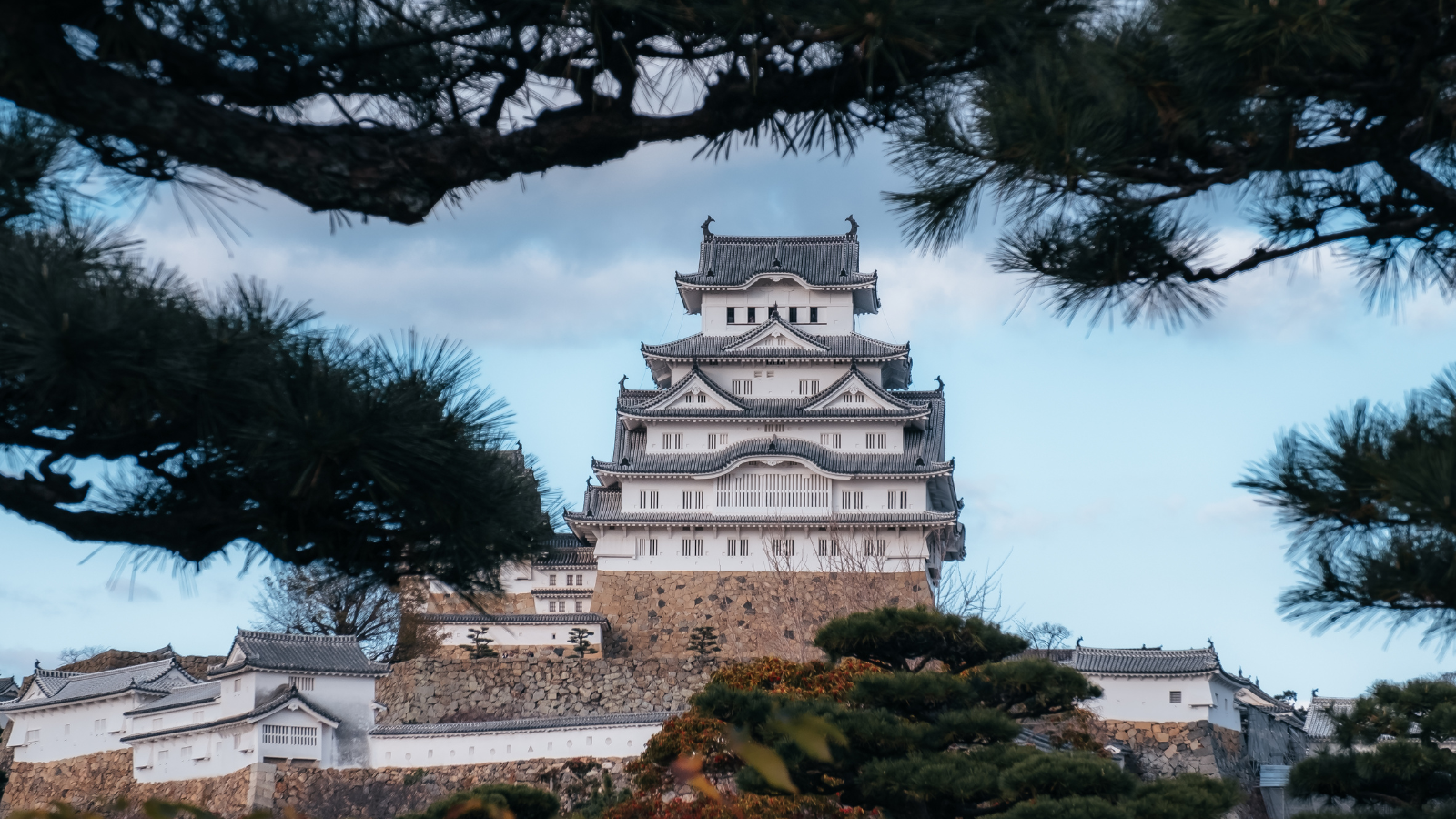 Himeji FAM Fest: Where Food, Art, and Music Unite in Celebration