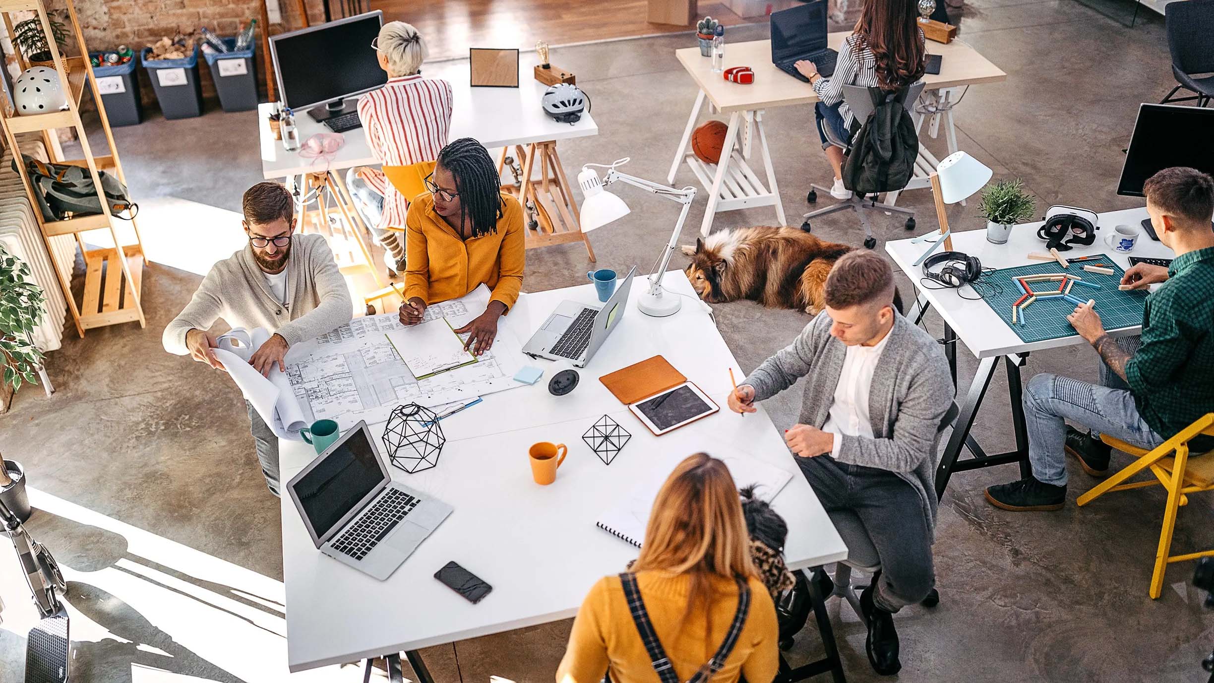Accelerator & Incubator Programs