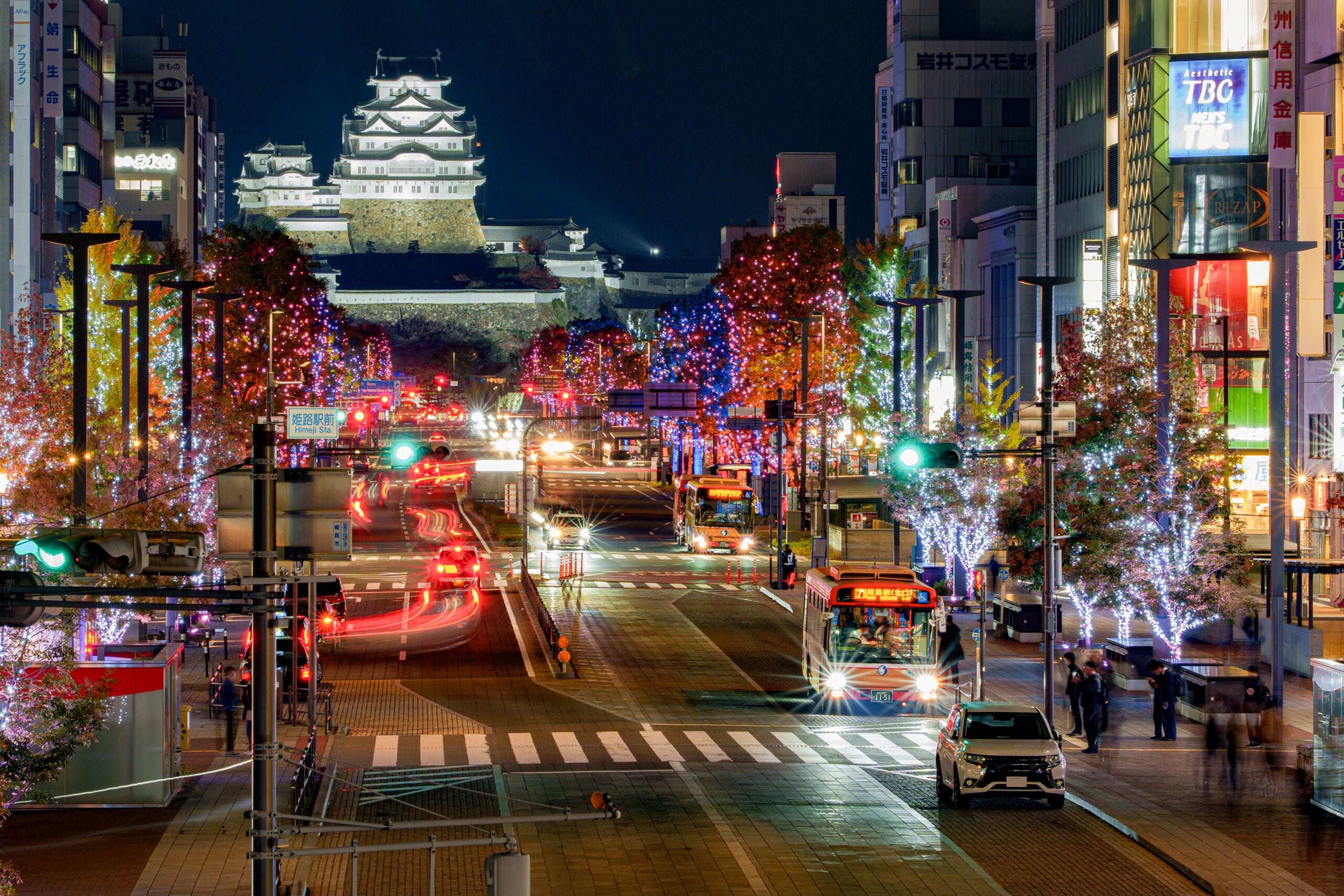 Himeji Night Tour
