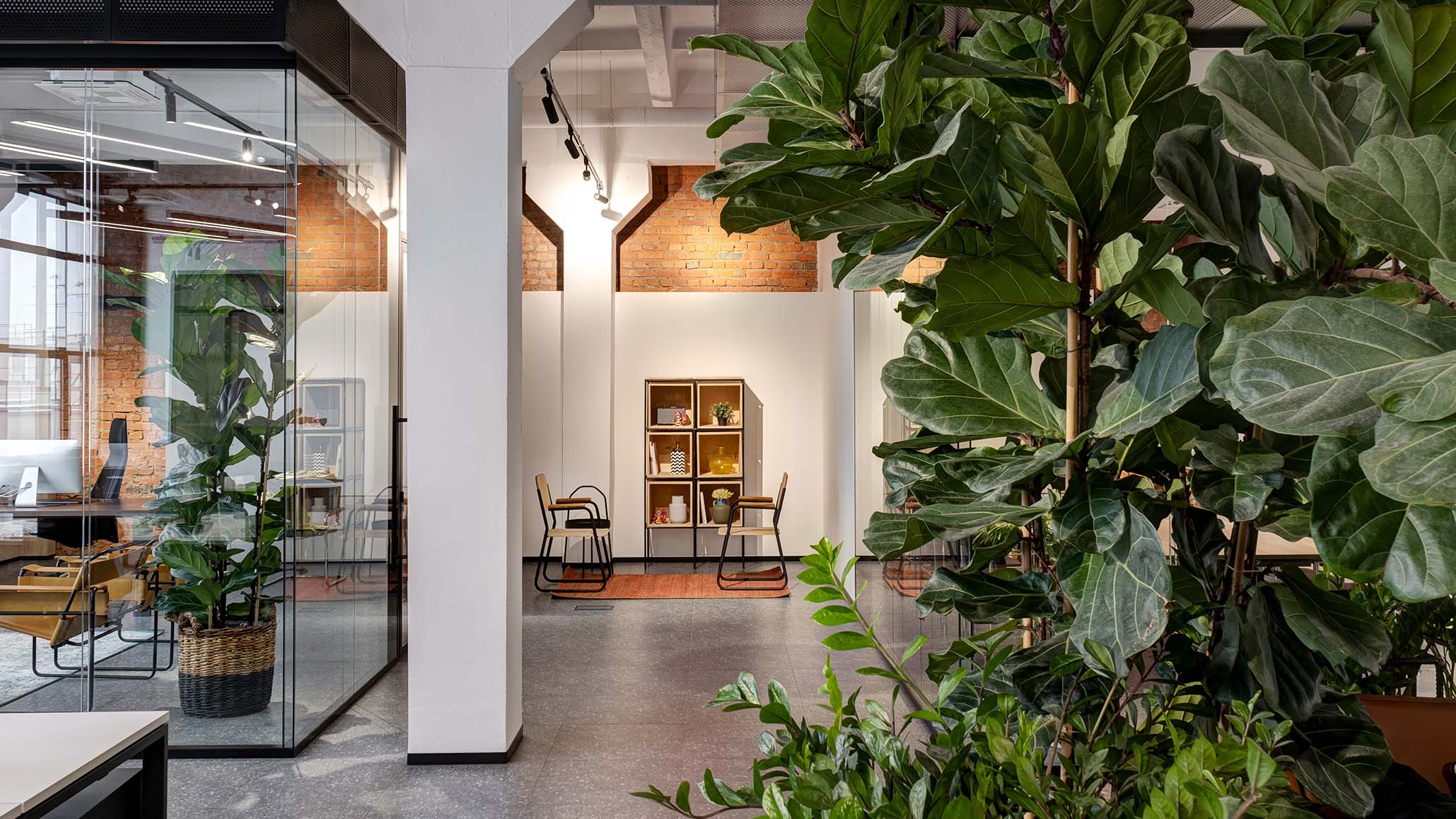 A modern office space featuring large indoor plants in the foreground. In the background, there is a glass-walled meeting room with a visible desk and chair.